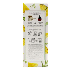 AirWick Botanica Plug In Diffuser & 1 Refill Fresh Pineapple and Tunisian Rosemary