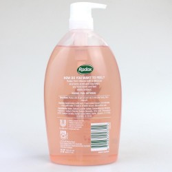 Radox 1L Shower Gel Feel Detoxed